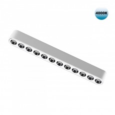 Novotech სარკინიგზო ნათურა 359077