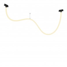 საჩვენებელი გულსაკიდი ნათურა ტექნიკური TR101-2-50W3K-B