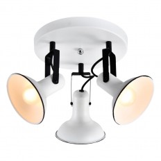 Spotlight Lussole LSP-8803