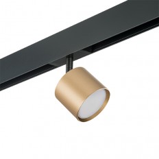 Rullo ნათურის ნაკრები Pro Rullo Lightstar Pro3490- ისთვის