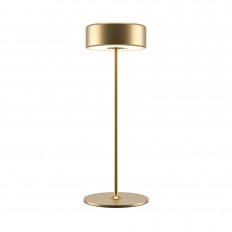 ბატარეის ნათურა Maytoni Mod229TL-L3G3K2