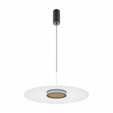 Maytoni Mod041PL-L15W3K1 შეჩერებული ნათურა