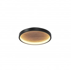 ჭერის ნათურა Maytoni MOD311CL-L27B3K