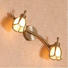 სპოტი Citilux Alten CL522521