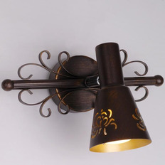 სპოტი Citilux Duncan CL529511