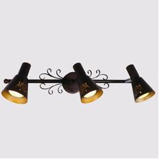 სპოტი Citilux Duncan CL529531