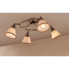 Spot Citilux Provence CL511143