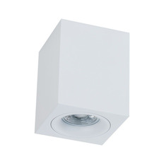 ჭერის ნათურა Maytoni Alfa C013CL-01W