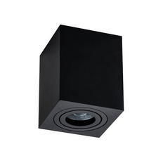 ჭერის ნათურა Maytoni Alfa C017CL-01B