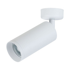 Spot Maytoni Focus C017CW-01W