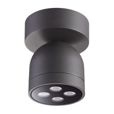 გარე ჭერის ნათურა Novotech Galeat 358118