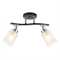 სპოტი Citilux CL156122