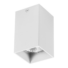 ზედაპირზე დამონტაჟებული ნათურა Lightstar 216336