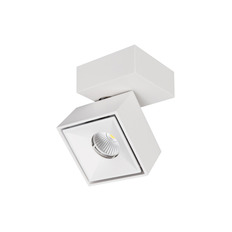 სპოტი Citilux CL558020N