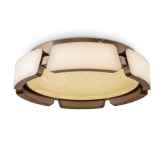 ჭერის ნათურა Freya Ethan FR6041CL-L92W