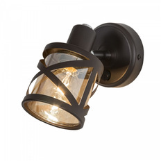 სპოტი Citilux CL536615