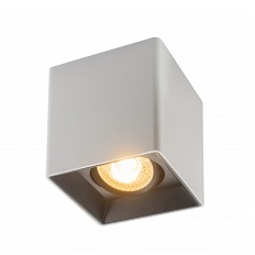 ოვერჰედის ნათურა Denkirs DK3030-WB