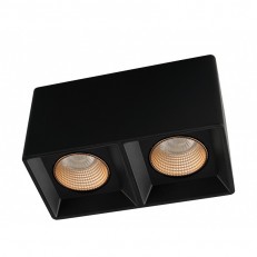 ზედაპირული სანათი Denkirs DK3085-BK+BR