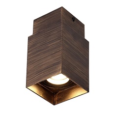 Накладной светильник Favourite 2794-1C