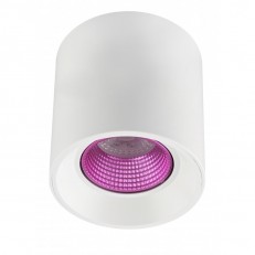 ზედაპირული სანათი Denkirs DK3090-WH+PI