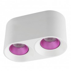 ზედაპირული ნათურა Denkirs DK3096-WH+PI