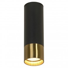 Потолочный светильник Lussole Loft LSP-8556