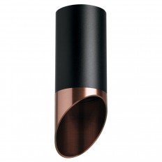 ჭერის ნათურა Lightstar Rullo (214437+201430) R437130