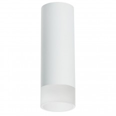 ჭერის ნათურა Lightstar Rullo (214486+202431) R48631