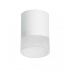 ჭერის ნათურა Lightstar Rullo (213486+202481) R348681