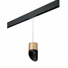 საჩვენებელი ნათურა Lightstar Rullo (213490+595887+201487) PRORP349087