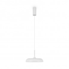 Подвесной светильник Maytoni MOD189PL-L12W3K1