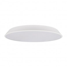 10226 White Потолочный светильник LOFT IT Brim