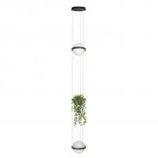 Подвесной светильник LOFT IT 10121/2P Dark grey