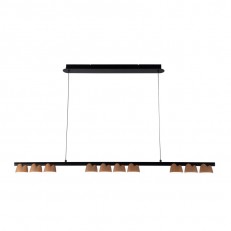 Подвесная люстра Favourite 4266-10P