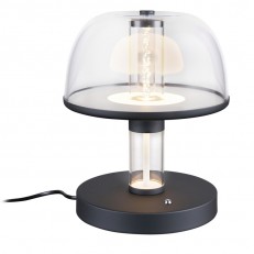 Настольная лампа Favourite 4312-1T