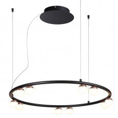 Подвесная люстра Favourite 4320-10P