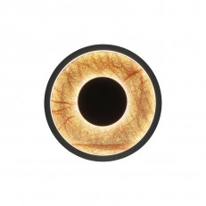 Бра Favourite 4445-1W