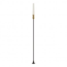 Уличный светодиодный светильник Odeon Light CANNA 7020/4GA