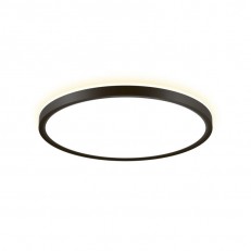 Citilux Cl748321 შუქნიშანი