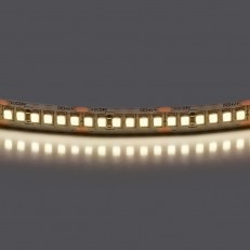 Lightstar 421024 ფირზე