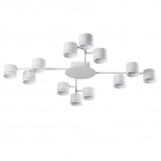 Накладная люстра LUMION 8235/12C