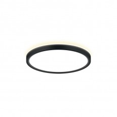 Citilux Cl748241 შუქნიშანი