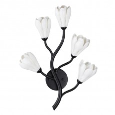 Bra Odeon Light 5090/5W