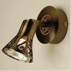 Спот Citilux Винон CL519513