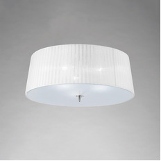 Потолочный светильник Mantra Loewe 4640