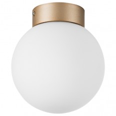 Настенно-потолочный светильник Lightstar Globo 812013