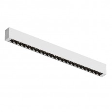 Светильник на шине Denkirs DK8002-WB