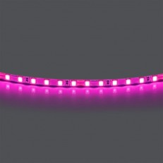 Лента Lightstar 420512