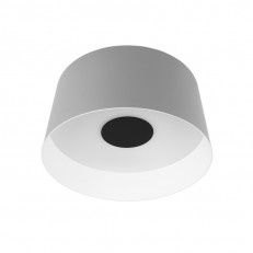 Накладной светильник LOFT IT 10360M Grey