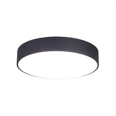 ჭერის ნათურა Citilux CL712242N